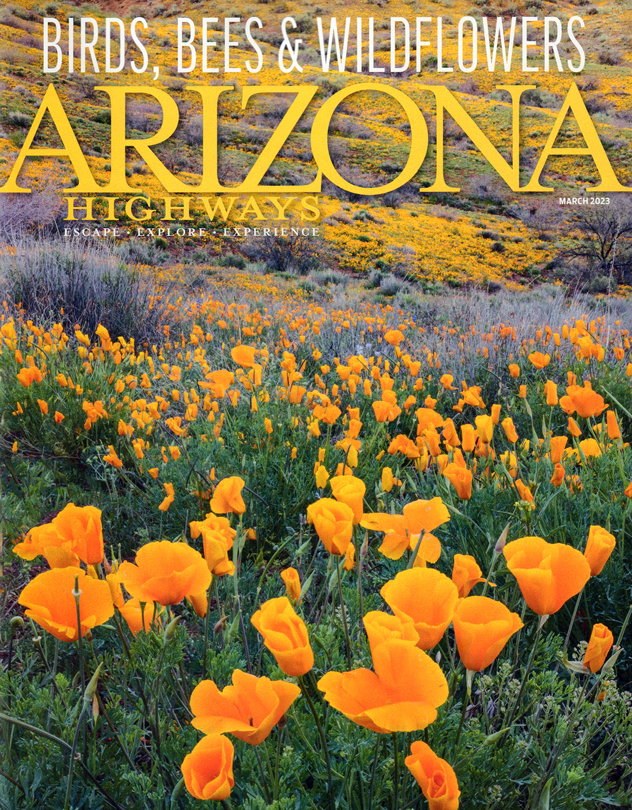 Arizona-Highways March 01, 2023 Issue Cover