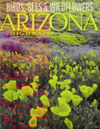Arizona-Highways March 01, 2023 Issue Cover