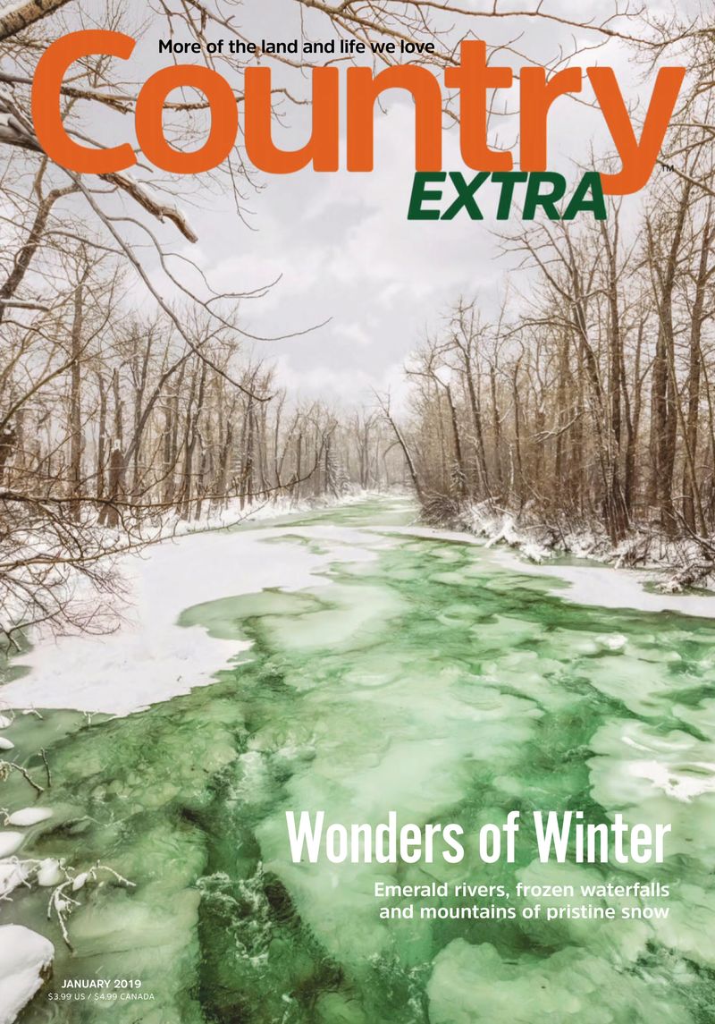 Country-Extra January 01, 2019 Issue Cover