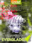 Cobblestone July 01, 2025 Issue Cover