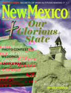 New-Mexico February 01, 2017 Issue Cover
