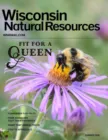 Wisconsin Natural Resources June 01, 2026 Issue Cover
