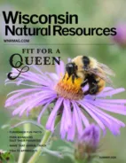 Wisconsin-Natural-Resources June 01, 2026 Issue Cover