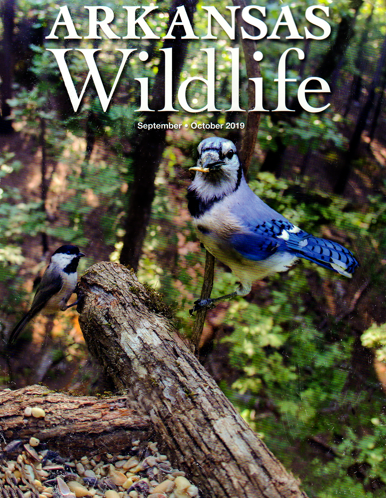 Arkansas-Wildlife September 01, 2019 Issue Cover