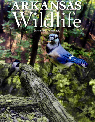 Arkansas Wildlife September 01, 2019 Issue Cover