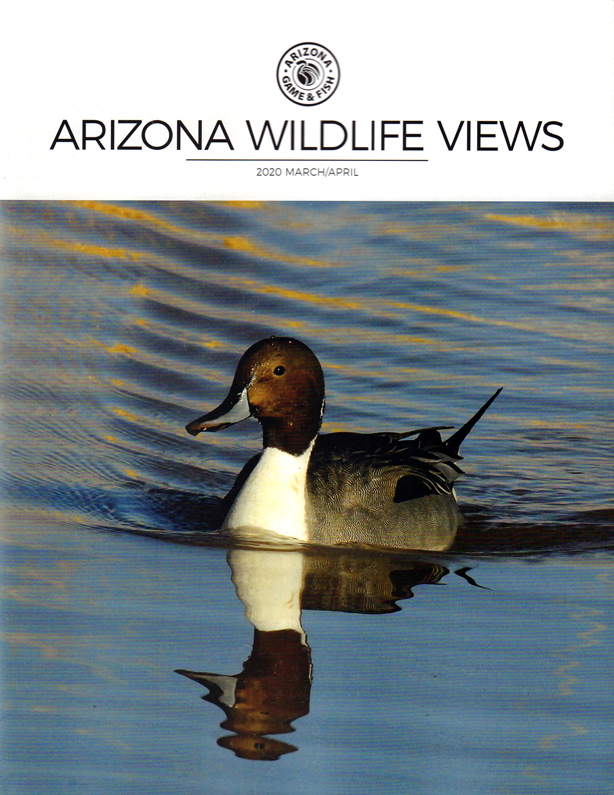 Arizona-Wildlife-Views March 01, 2020 Issue Cover
