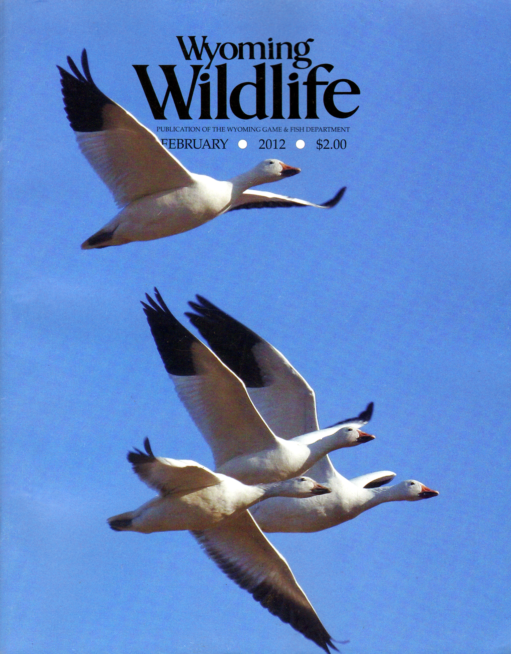 Wyoming-Wildlife February 01, 2012 Issue Cover