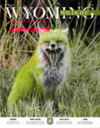 Wyoming-Wildlife July 01, 2018 Issue Cover