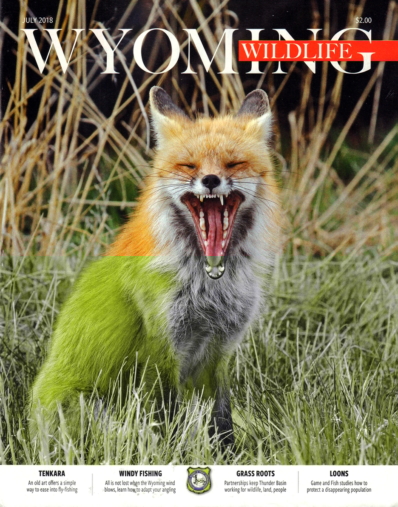 Wyoming Wildlife July 01, 2018 Issue Cover