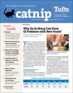 Catnip January 01, 2024 Issue Cover
