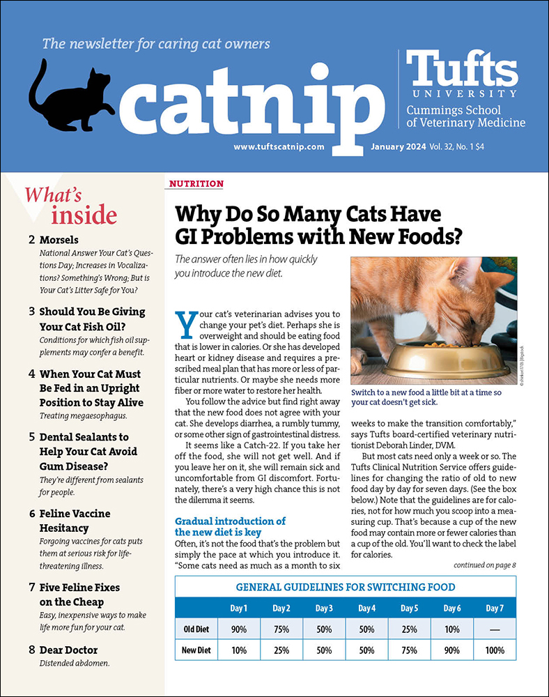 Catnip January 01, 2024 Issue Cover
