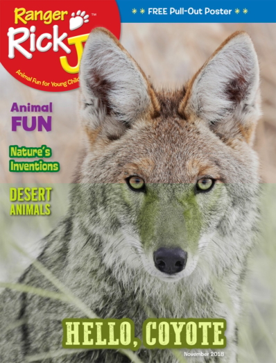 Ranger Rick Jr. November 01, 2018 Issue Cover