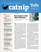 Catnip April 01, 2021 Issue Cover