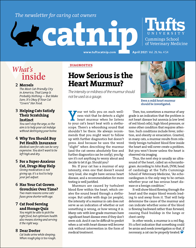 Catnip April 01, 2021 Issue Cover