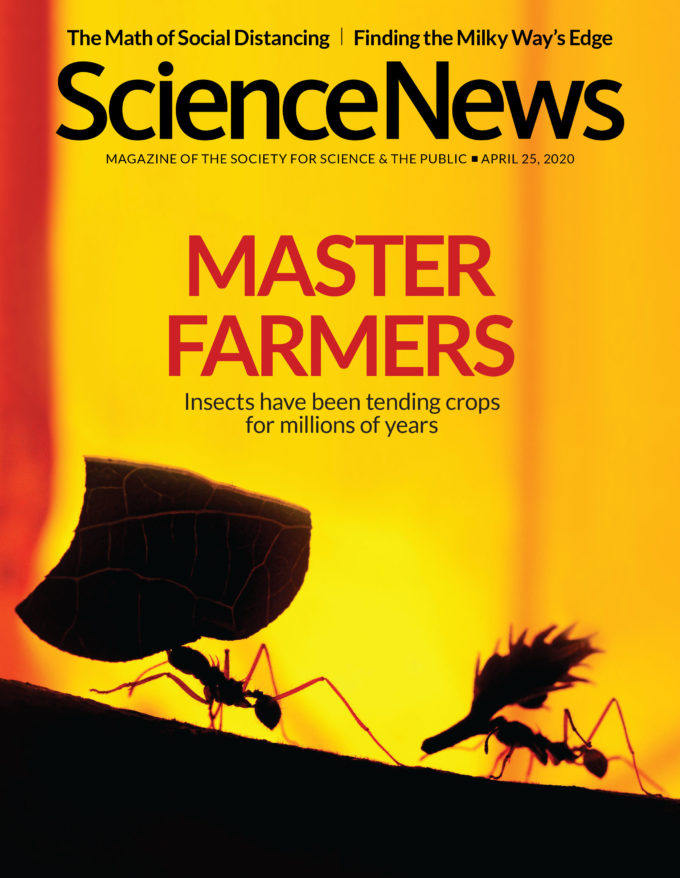 Science-News April 25, 2020 Issue Cover