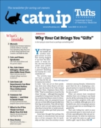 Catnip June 01, 2020 Issue Cover