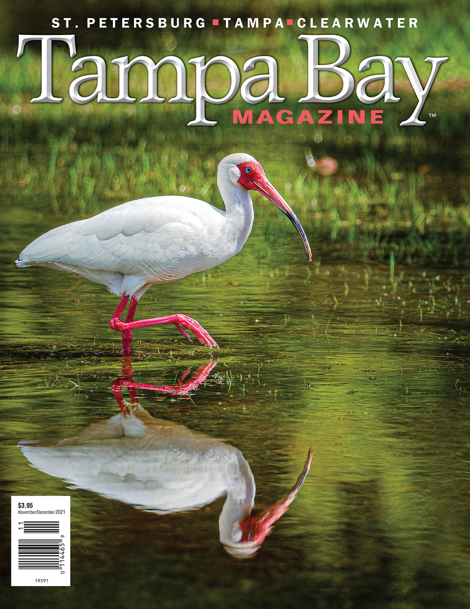 Tampa Bay Magazine November 01, 2021 Issue Cover