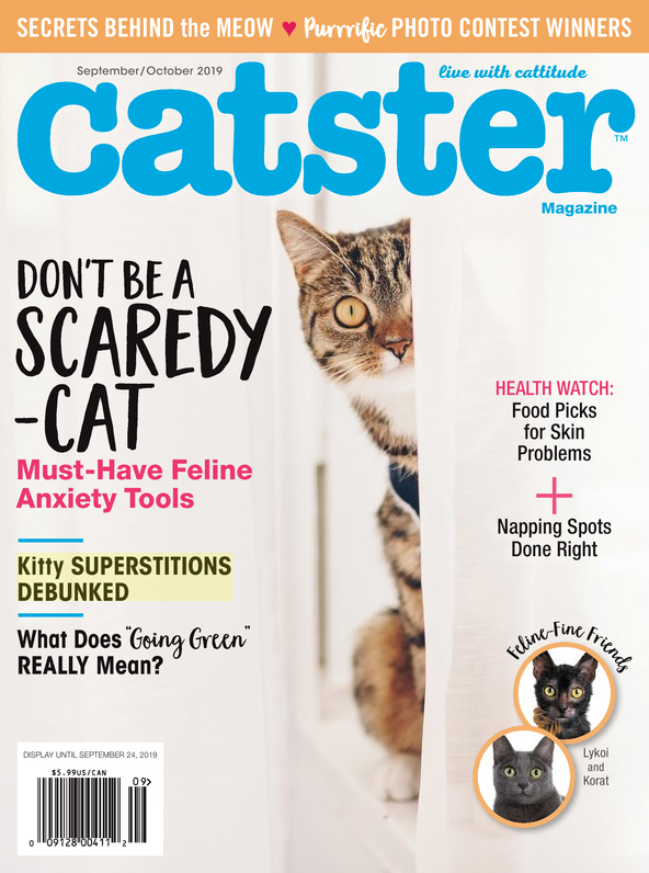 Catster September 01, 2019 Issue Cover
