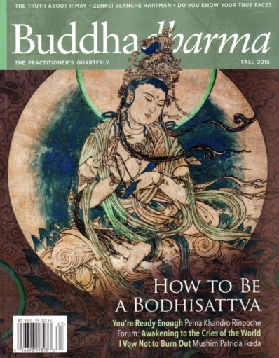 BUDDHADHARMA: THE PRACTIONER'S QUARTERLY September 01, 2016 Issue Cover