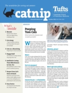 Catnip October 01, 2022 Issue Cover