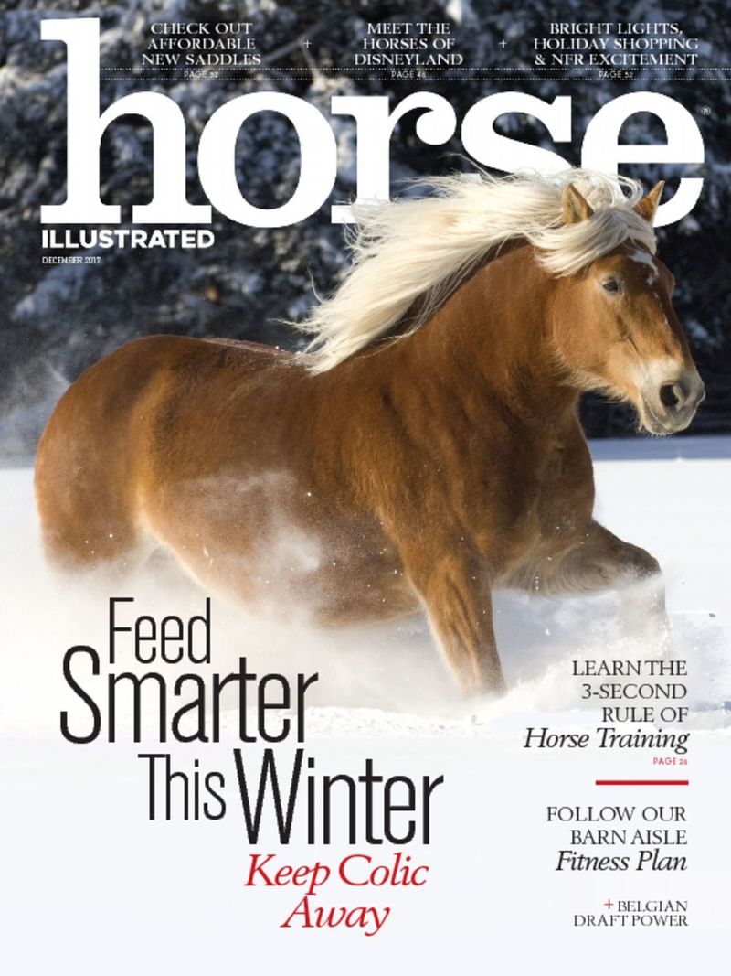 Horse-Illustrated December 01, 2017 Issue Cover