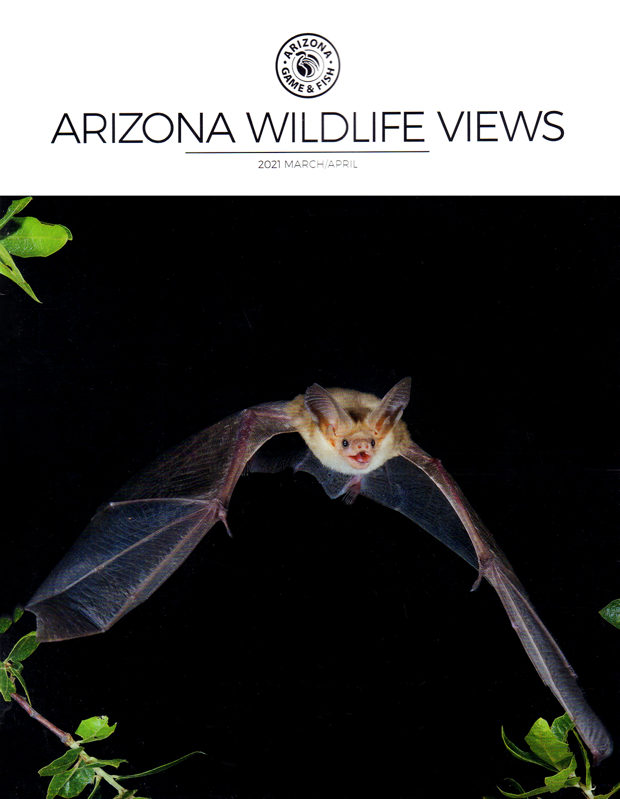 Arizona-Wildlife-Views March 01, 2021 Issue Cover
