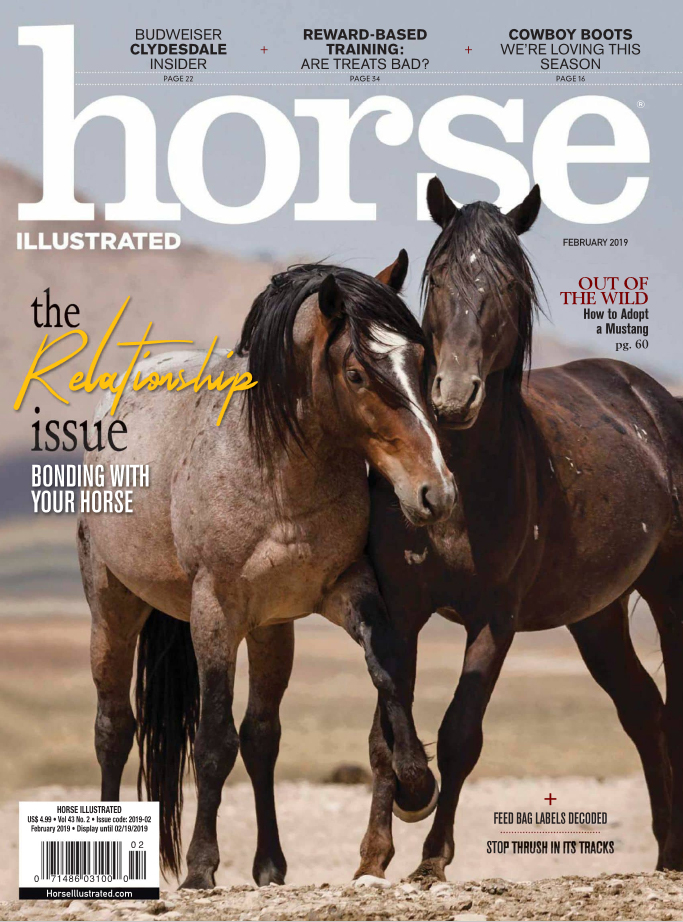 Horse-Illustrated February 01, 2019 Issue Cover