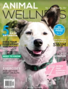 Animal-Wellness June 01, 2022 Issue Cover