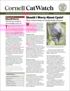 Catwatch September 01, 2025 Issue Cover