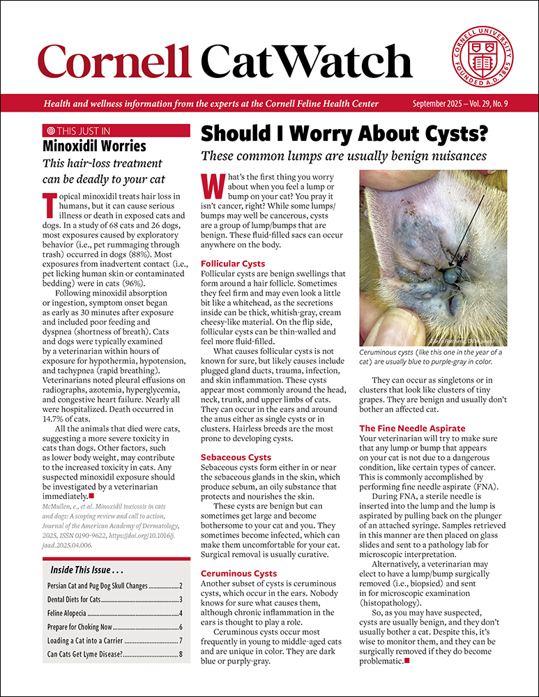 Catwatch September 01, 2025 Issue Cover