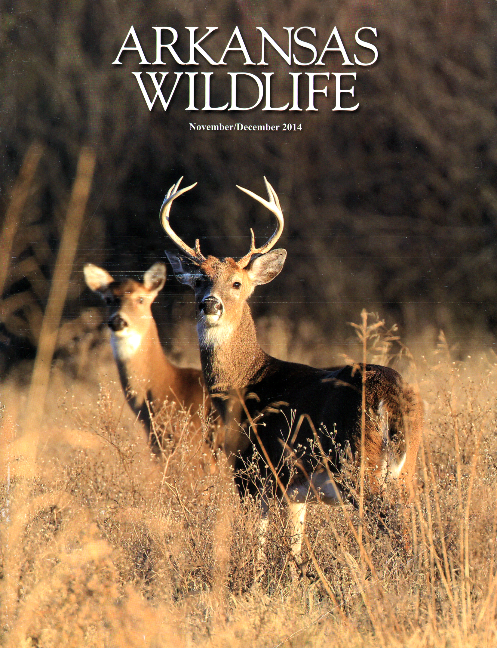 Arkansas-Wildlife November 01, 2014 Issue Cover
