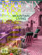 Phoenix-Home-and-Garden June 01, 2014 Issue Cover