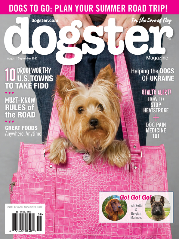 Dogster August 01, 2022 Issue Cover