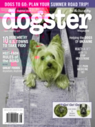 Dogster August 01, 2022 Issue Cover