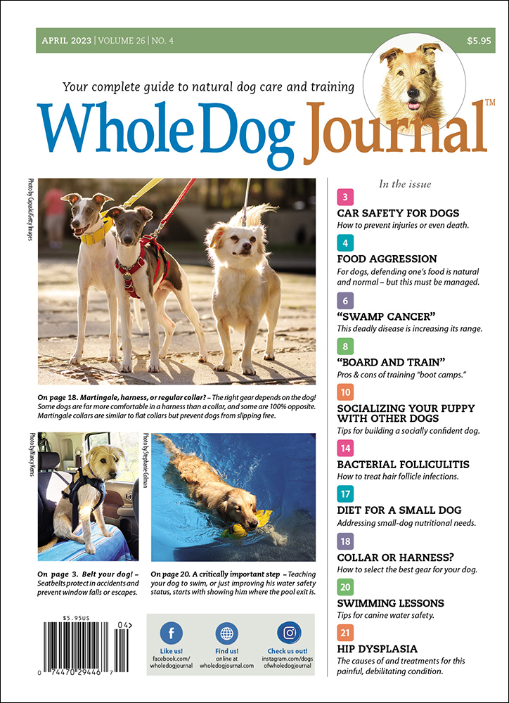 Whole-Dog-Journal April 01, 2023 Issue Cover