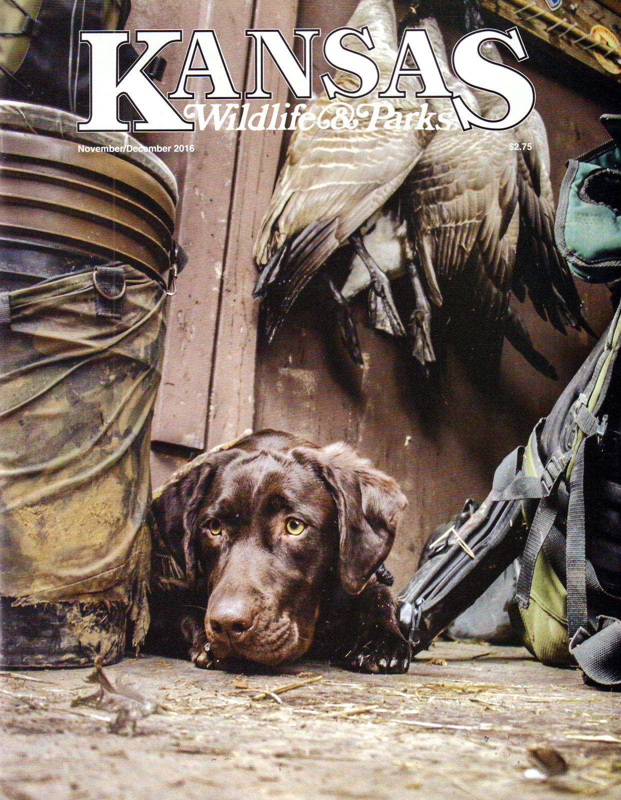 Kansas-Wildlife-and-Parks November 01, 2016 Issue Cover