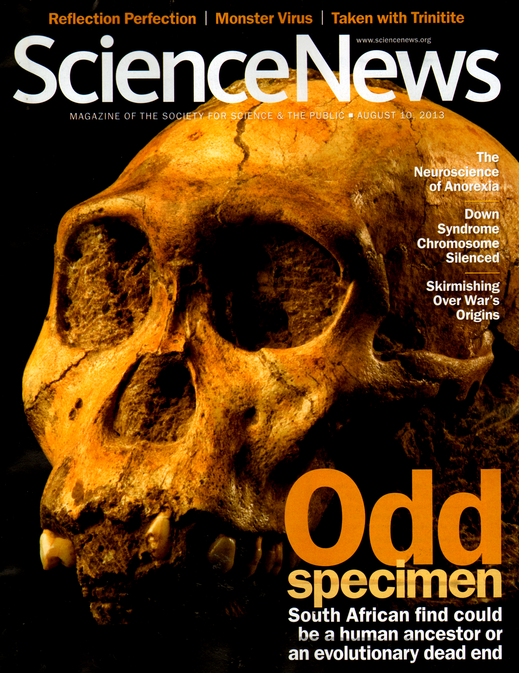 Science-News August 10, 2013 Issue Cover