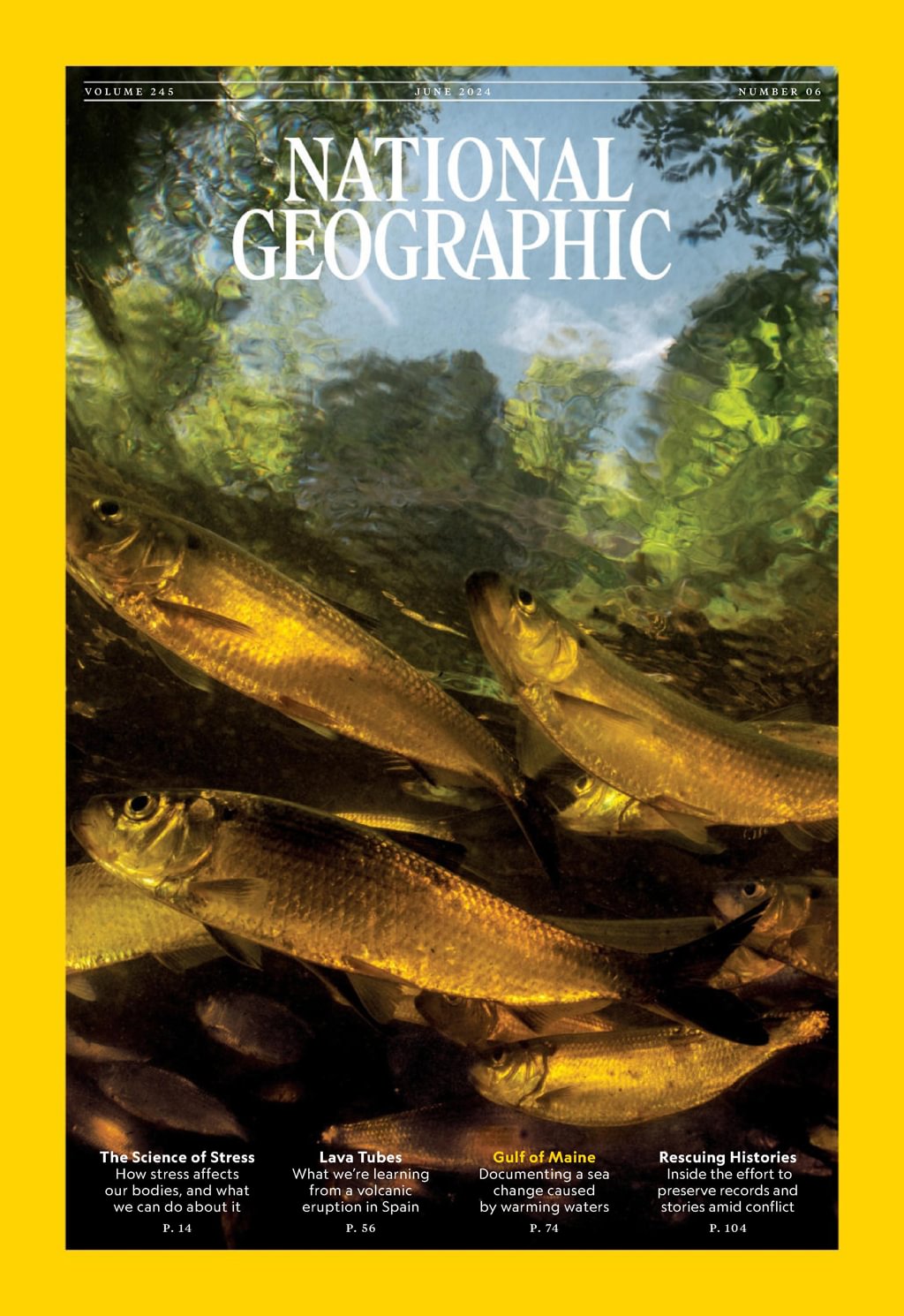 National-Geographic June 01, 2024 Issue Cover