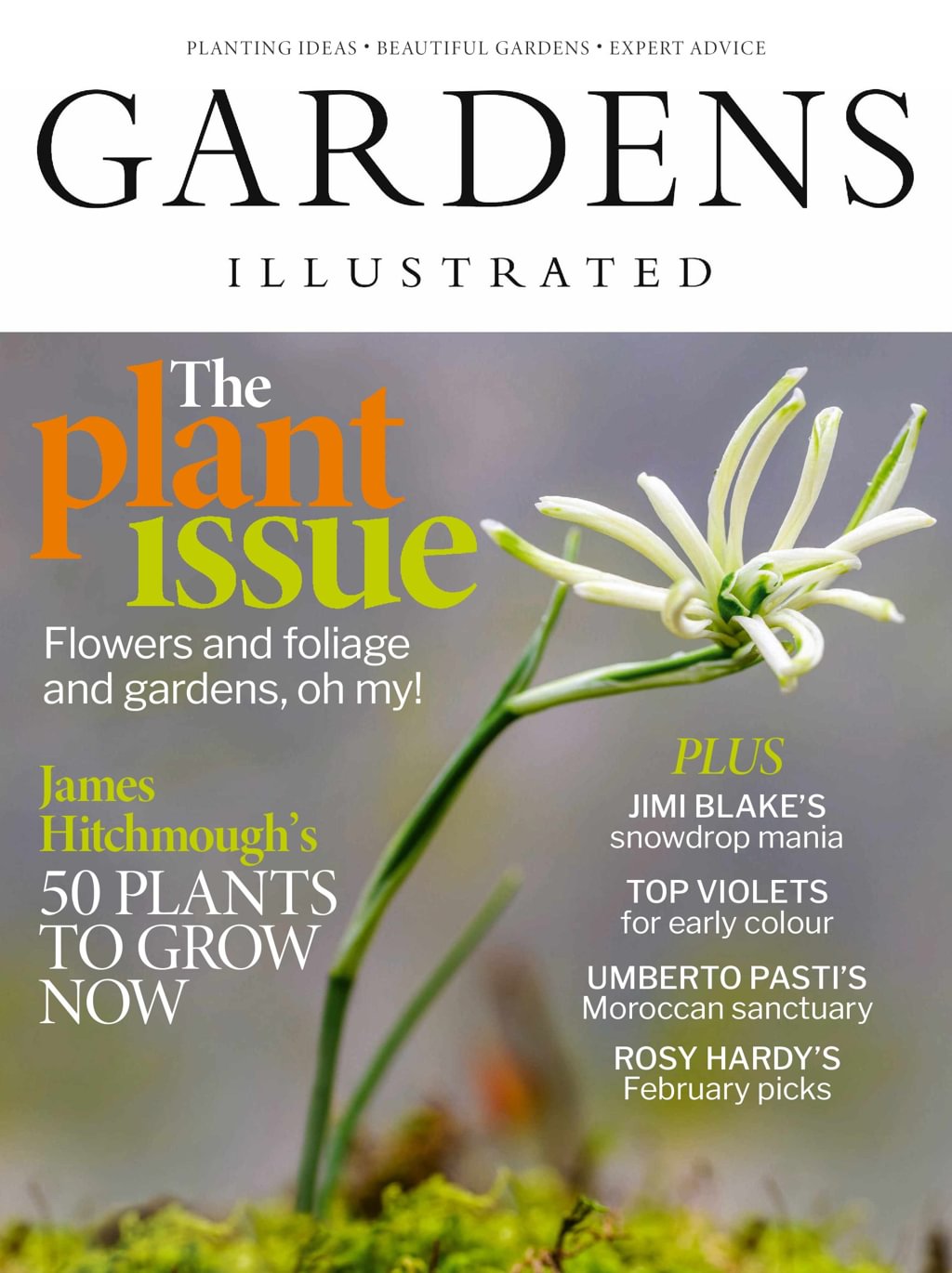 Gardens Illustrated February 01, 2026 Issue Cover