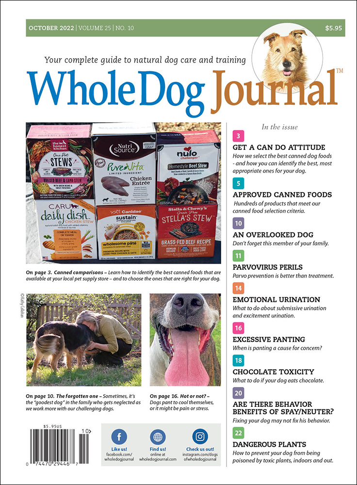 Whole-Dog-Journal October 01, 2022 Issue Cover