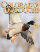 Colorado Outdoors September 01, 2024 Issue Cover