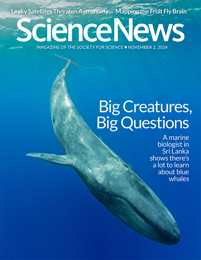 Science-News November 02, 2024 Issue Cover