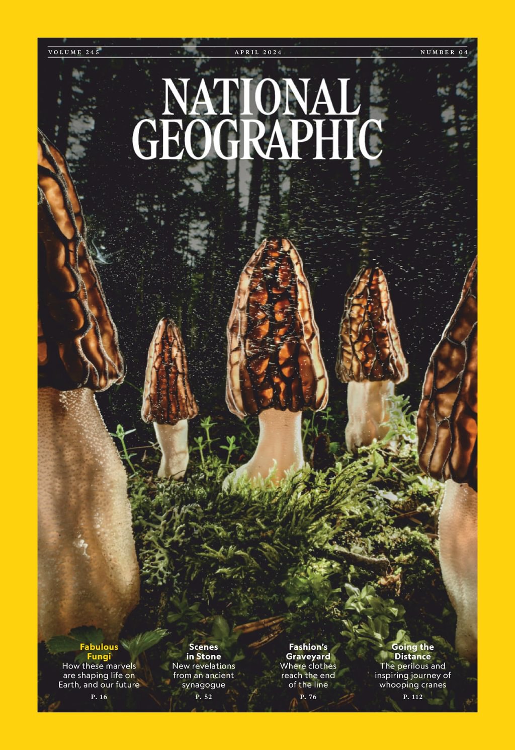 National-Geographic April 01, 2024 Issue Cover