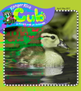 Ranger-Rick-Cub April 01, 2017 Issue Cover