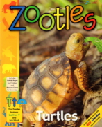 Zootles December 01, 2017 Issue Cover