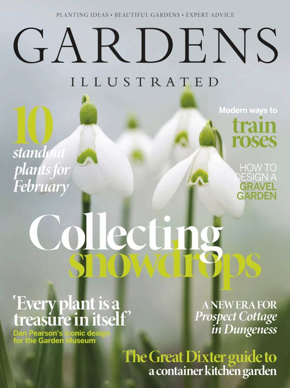 Gardens-Illustrated February 01, 2020 Issue Cover