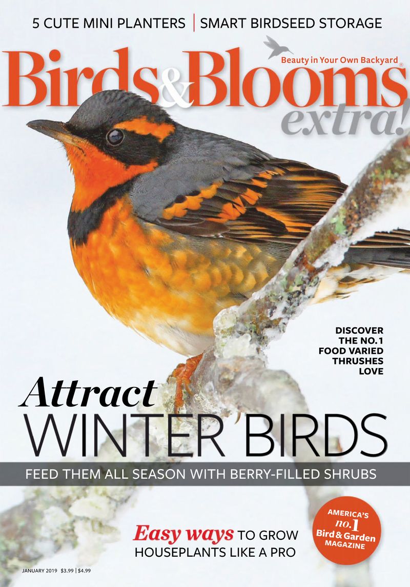 Birds-and-Blooms-Extra January 01, 2019 Issue Cover