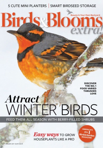 Birds & Blooms Extra January 01, 2019 Issue Cover