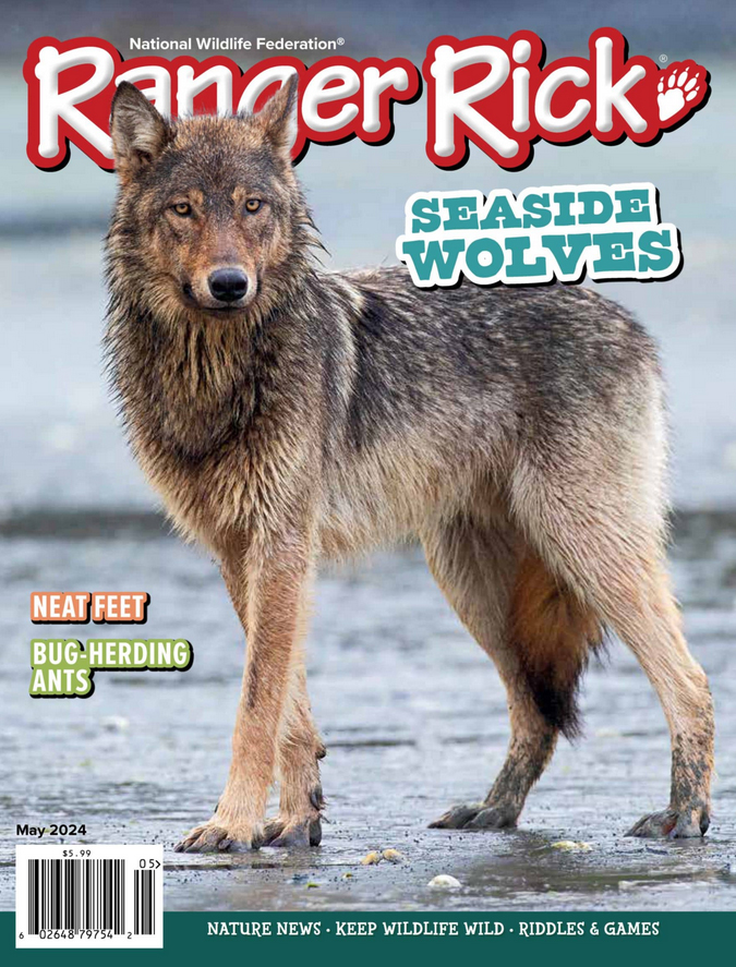 Ranger-Rick May 01, 2024 Issue Cover