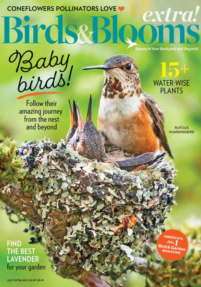 Birds-and-Blooms-Extra July 01, 2022 Issue Cover